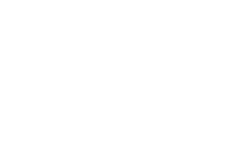 logo blanc